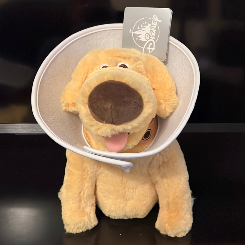 Disney Up Plush Dug with Cone